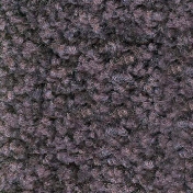 Ковролин Condor Carpets Juliette 15 5 м